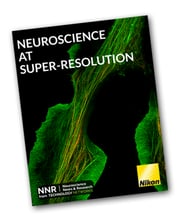 NeuroscienceAtSuperResolution_ImageGallery