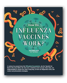 HowDoInfluenzaVaccinesWork_Infographic