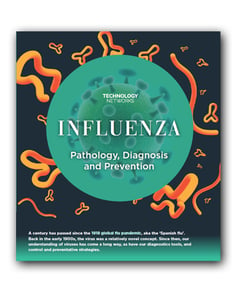Influenza_Infographic