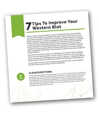 WesternBlot_List
