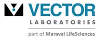 vector_laboratories_logo_transparent