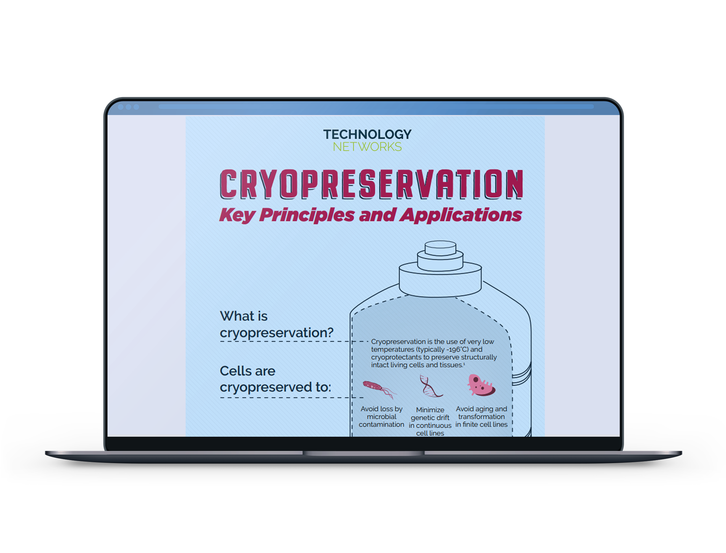 Cryopreservation Key Principles And Applications