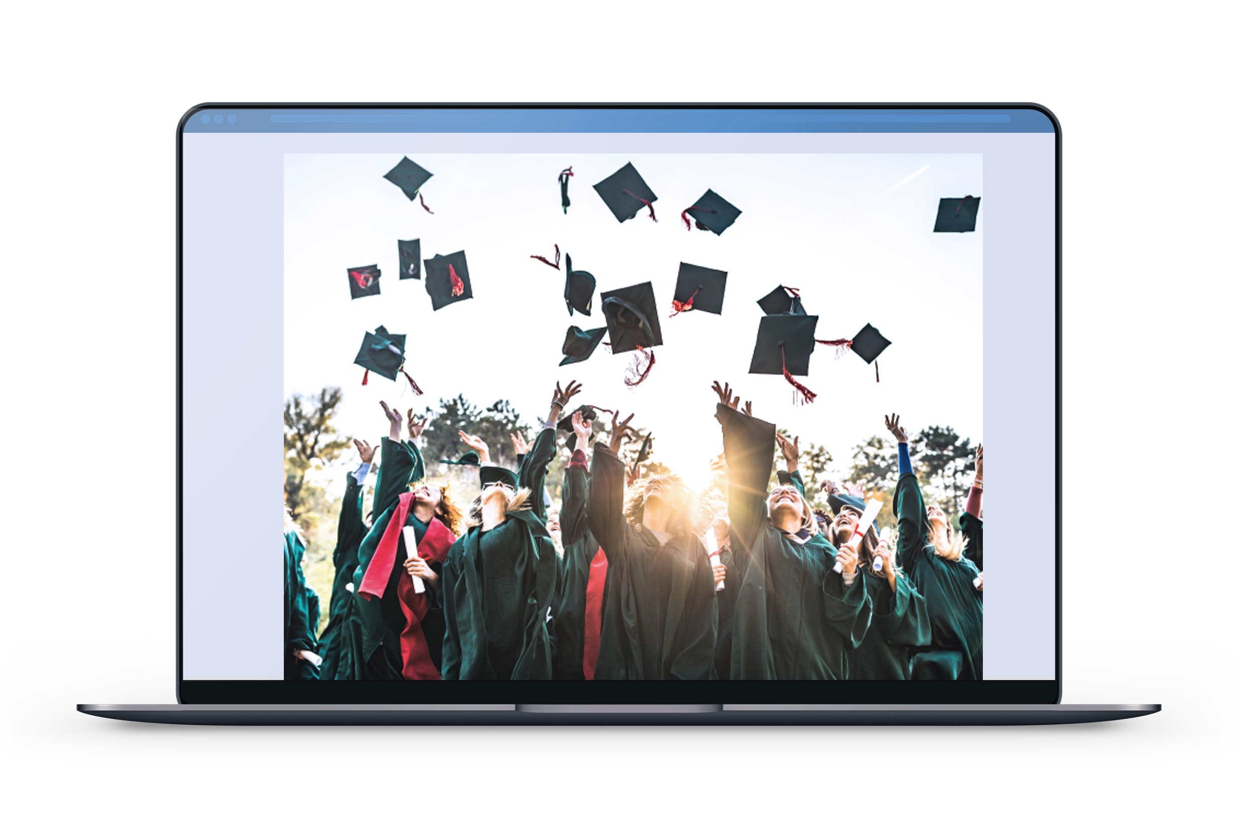 Graduate School Survival Guide [eBook]