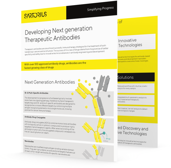 Developing Next Generation Therapeutic Antibodies