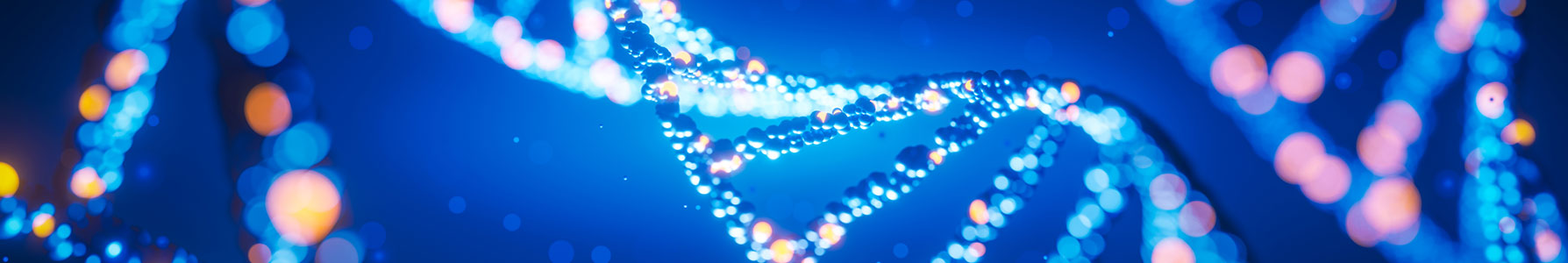 Comparison of Different Methods To Isolate High Molecular Weight DNA ...