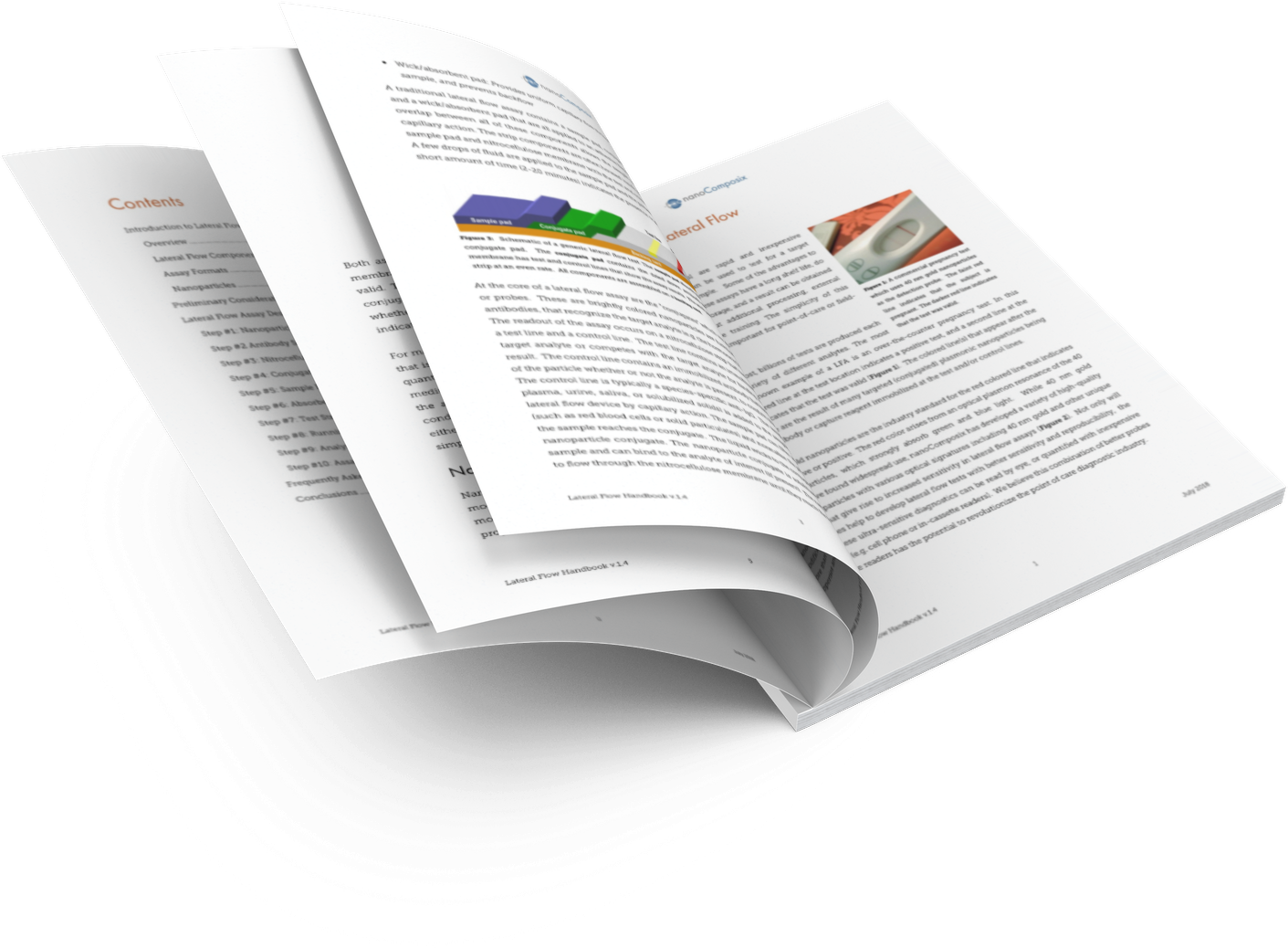 Lateral Flow Assay Development Guide