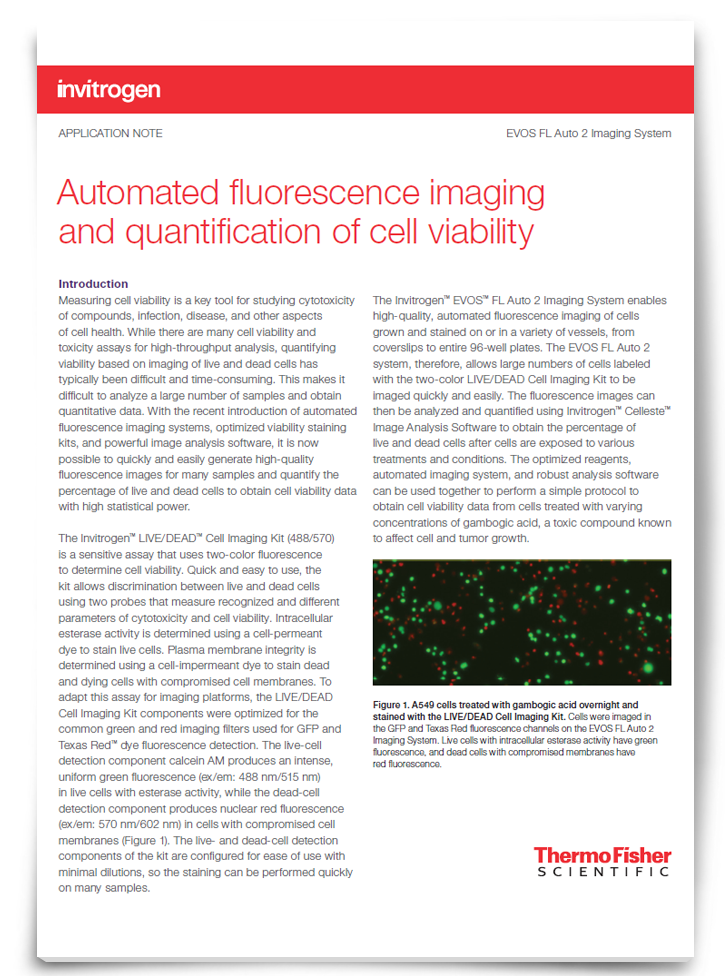 Automated Fluorescence Quantification of Cell Viability