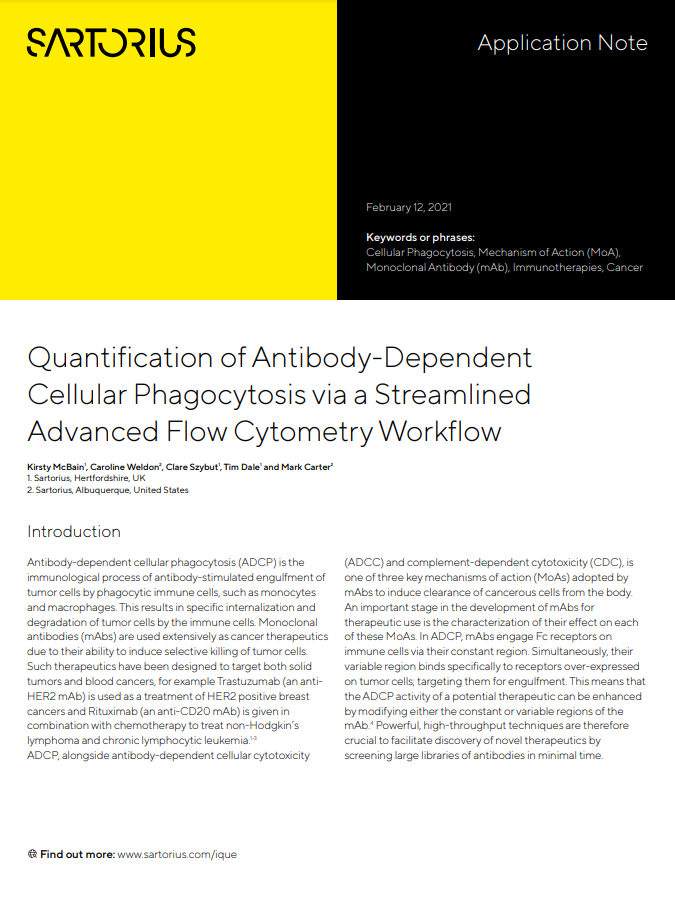 Achieve Robust Quantification of Antibody-Dependent Cellular Phagocytosis