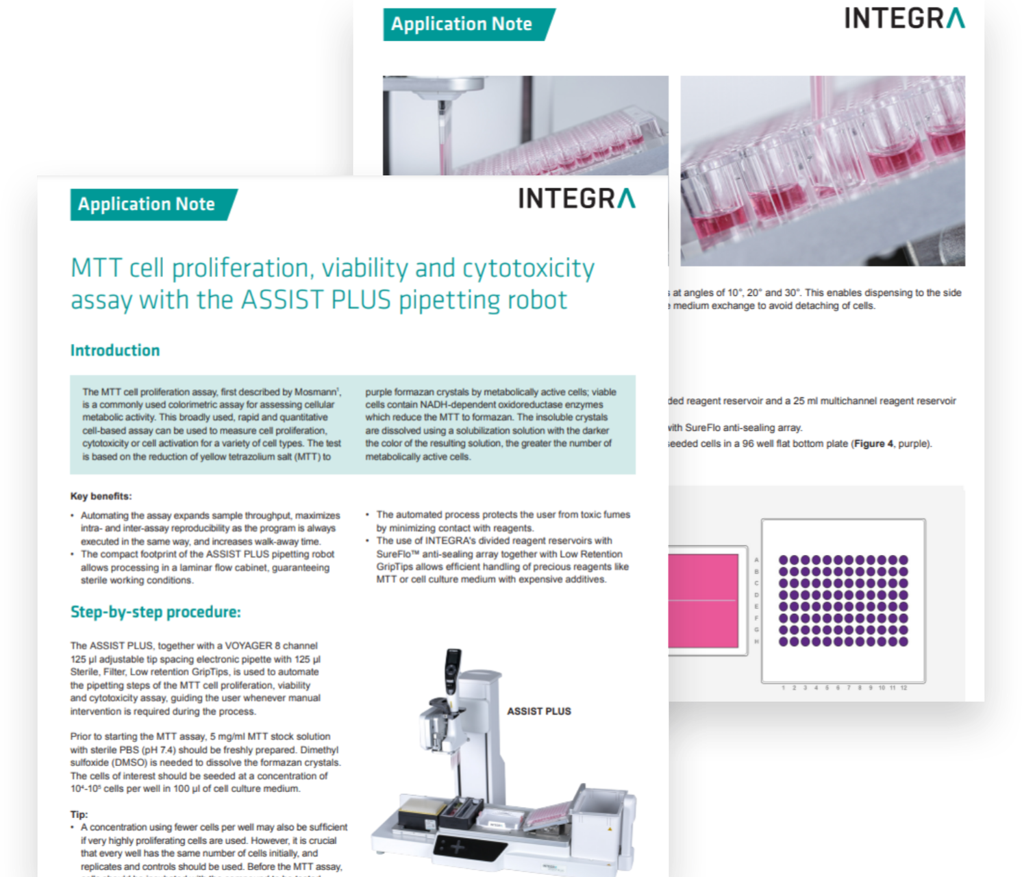 MTT Cell Proliferation, Viability and Cytotoxicity Assay