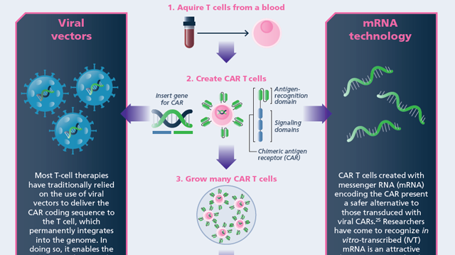 Cancer Immunotherapy