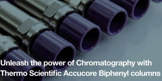 Unleash the power of Chromatography with Thermo Scientific Accucore ...